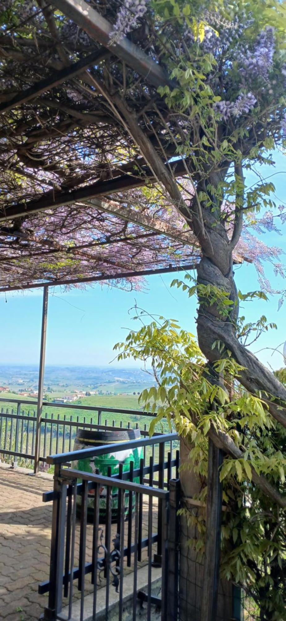 Casa Vacanza Il Colle Del Vento Calosso Exterior photo